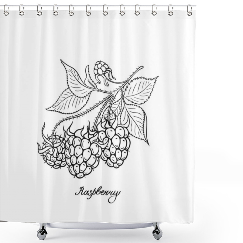 Personality  Raspberry. Black And White Berries Set. Hand-drawn Flat Image. Vector Illustration On A White Background. Shower Curtains