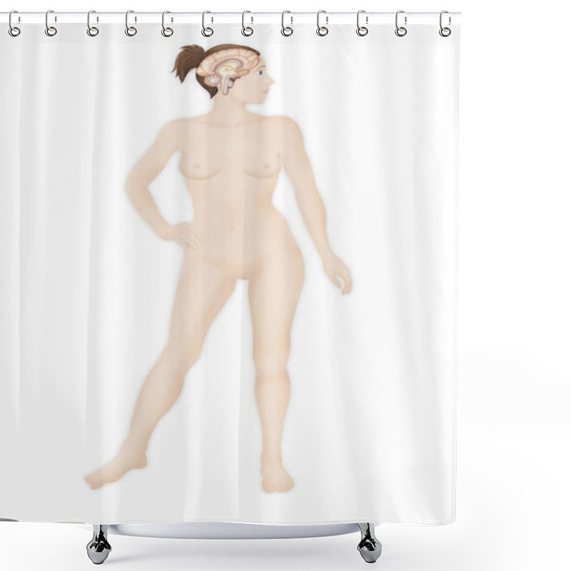 Personality  Brain System Shower Curtains