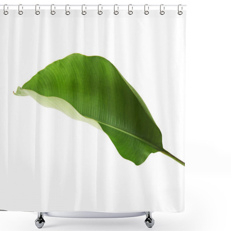 Personality  Strelitzia Reginae, Heliconia, Tropical Leaf, Bird Of Paradise Foliage Isolated On White Background, With Clipping Path  Shower Curtains