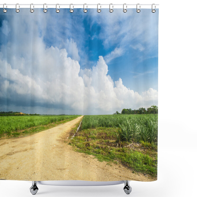 Personality  Caribbean Sugar Cane Plantations In Dominican Respublic Shower Curtains