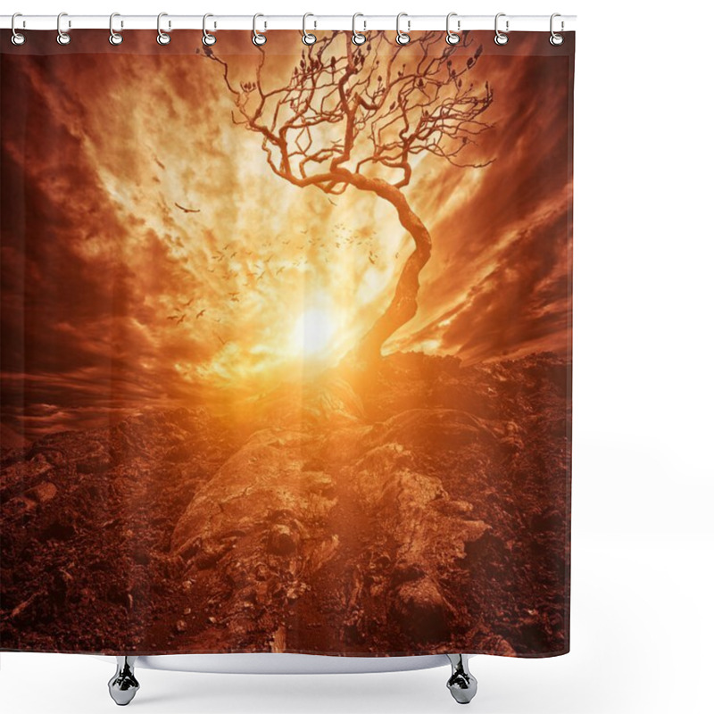 Personality  Dramatic Sunset Over Old Lonely Tree Shower Curtains