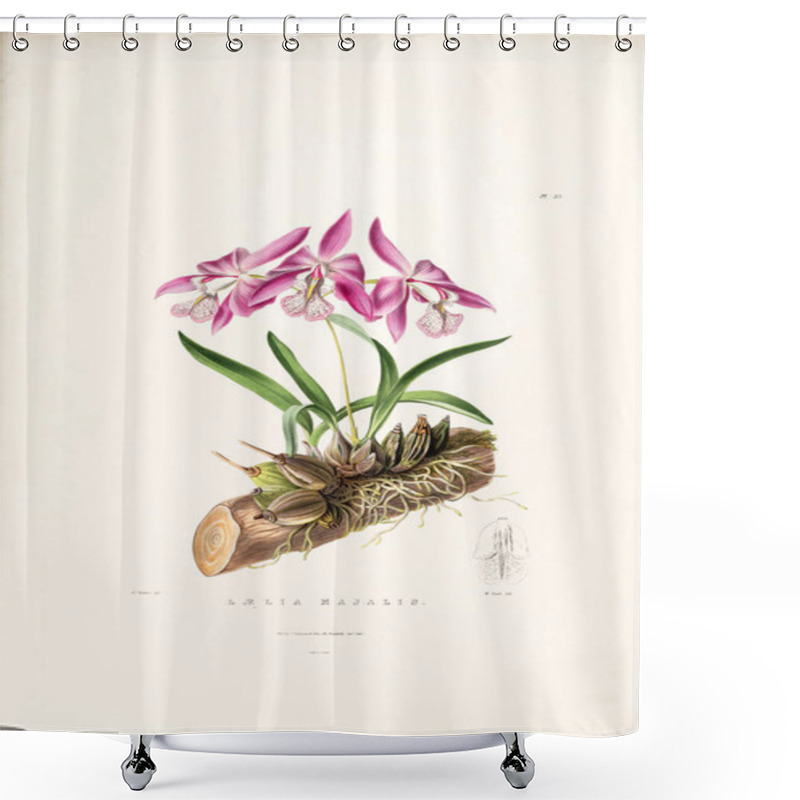 Personality  Illustration Of Flower. Old Image Shower Curtains