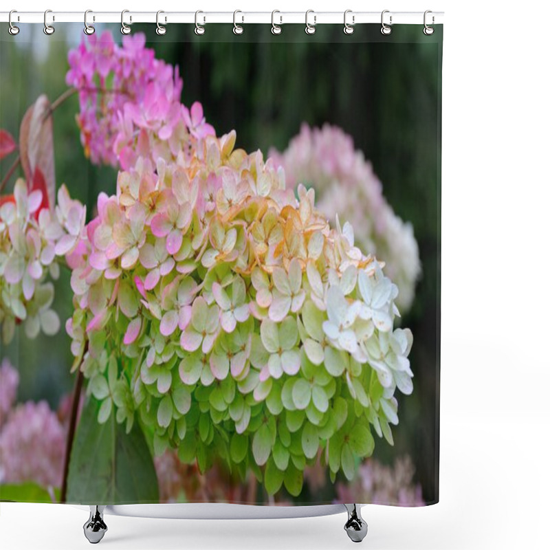 Personality  Pink Hydrangea Shower Curtains