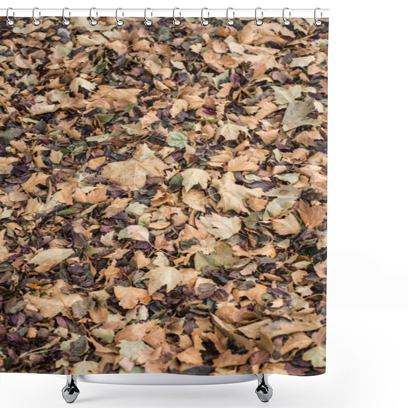 Personality  Autumn Leaves Shower Curtains