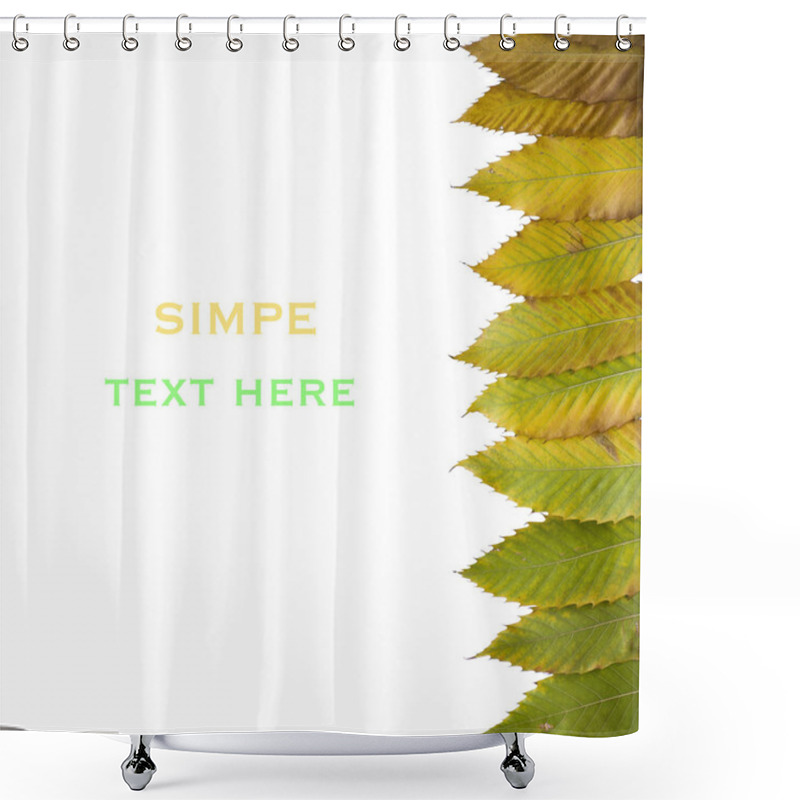 Personality  Chestnut Leaves And Place For Text Shower Curtains