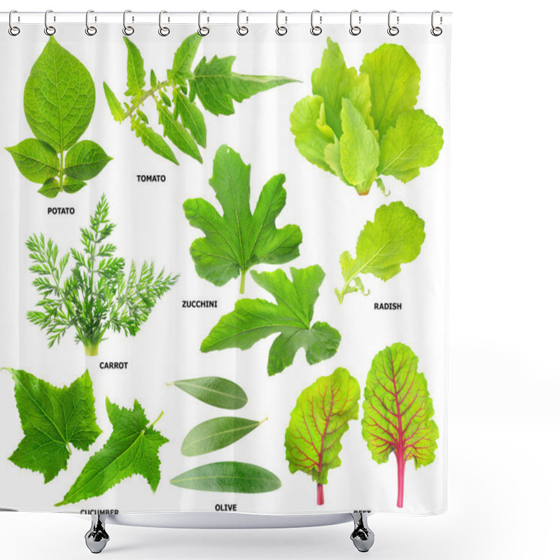 Personality  Leaves Of Vegetable Plants Shower Curtains