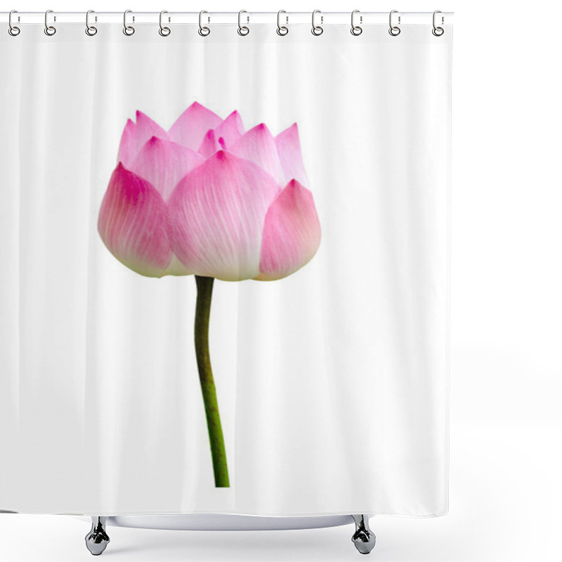 Personality  Lotus Flower Shower Curtains