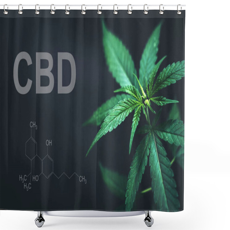 Personality  Marijuana Leaves With Cbd Thc Chemical Structure Shower Curtains