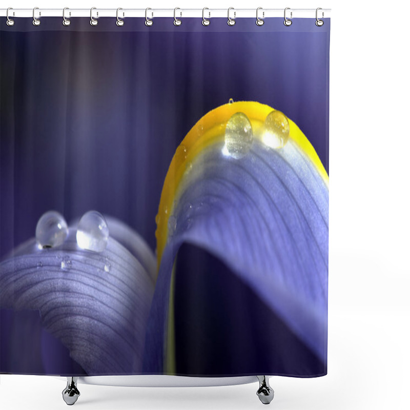 Personality  Close Up Iris Shower Curtains