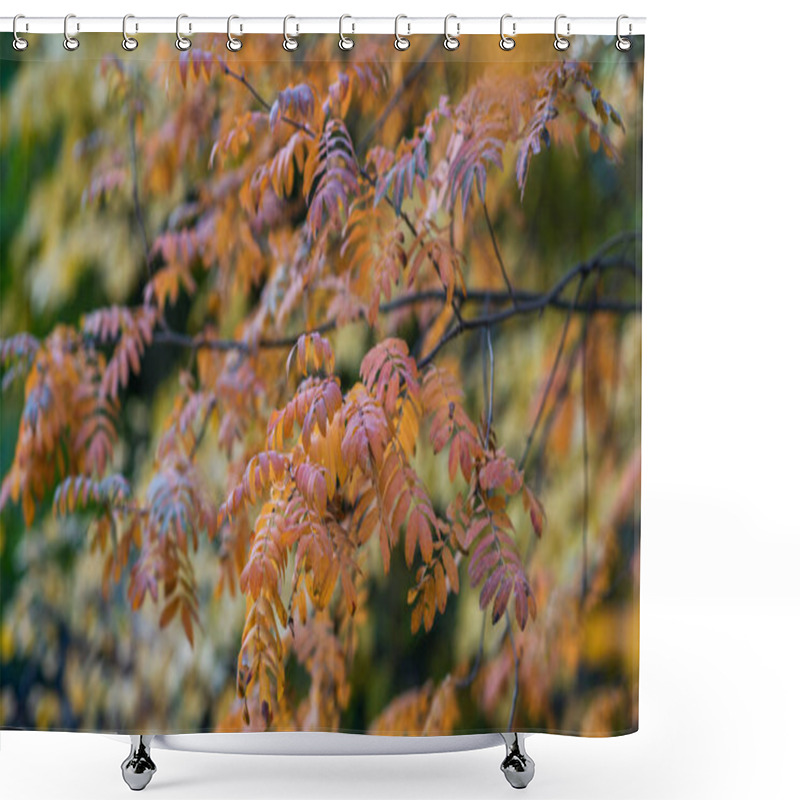 Personality  The Delicate Details Of Orange-tinged Leaves On A Branch, Set Against A Blurred Backdrop Of Autumnal Foliage, A Harmonious Dance Of Fall's Fiery Hues. Shower Curtains