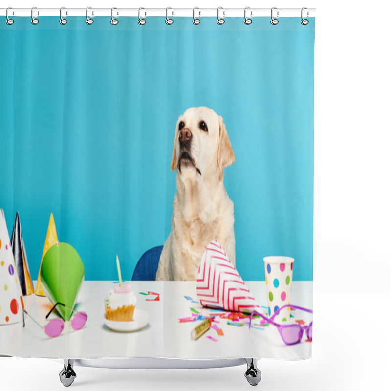 Personality  A Furry Dog Sitting At A Table Adorned With Party Hats, Next To A Delicious Cupcake, Looking Ready To Celebrate. Shower Curtains