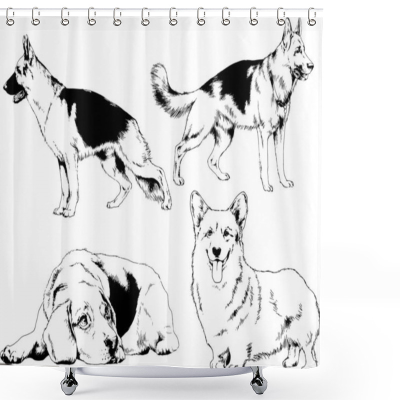 Personality  Vector Drawings Sketches Pedigree Dogs In The Racks Drawn In Ink By Hand , Objects With No Background Shower Curtains