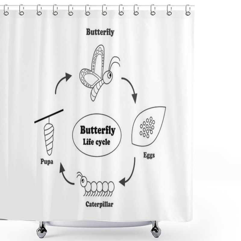 Personality  Butterfly Life Cycle In Outline Style, Vector Shower Curtains