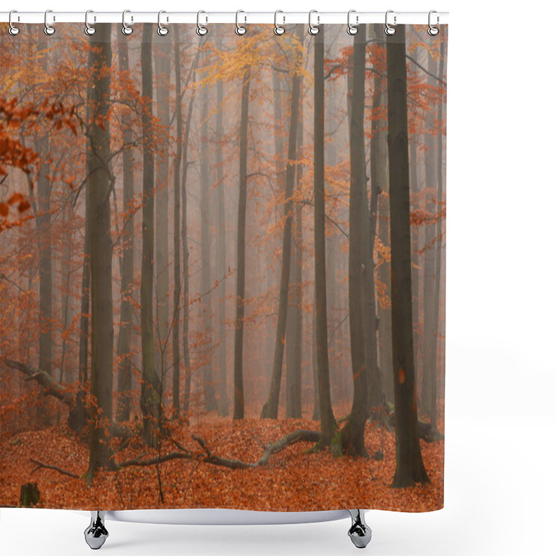 Personality  Beautiful Misty Morning In Autumn Forest Shower Curtains