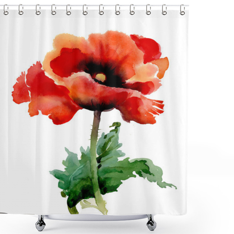 Personality  Poppy Summer Flowers Shower Curtains