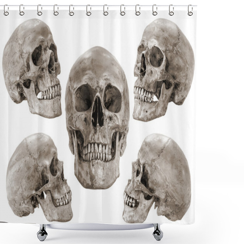 Personality  Skull Model Shower Curtains