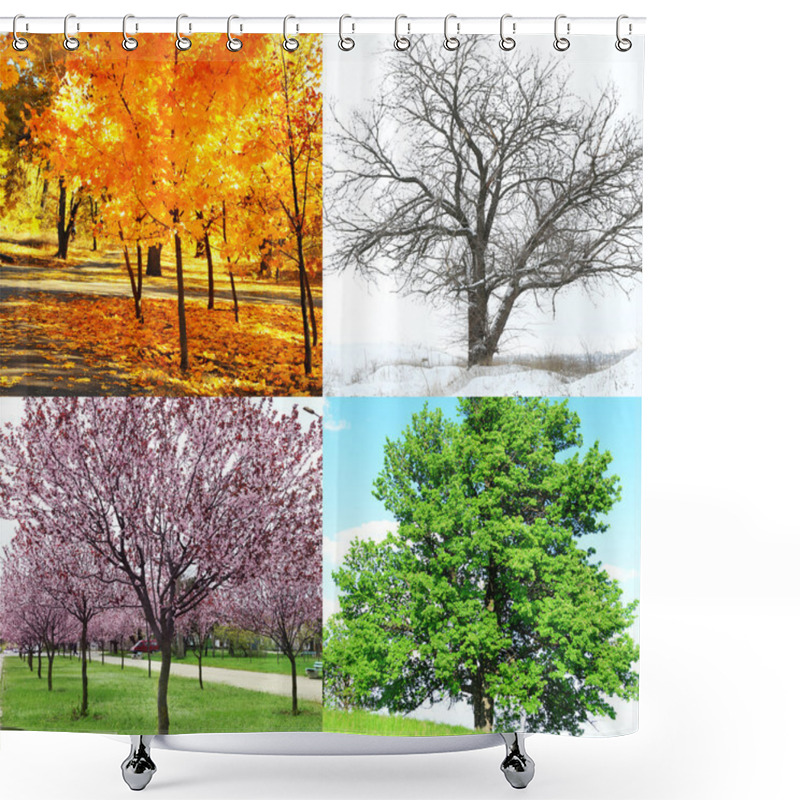 Personality  Trees At Different Time Of The Year  Shower Curtains