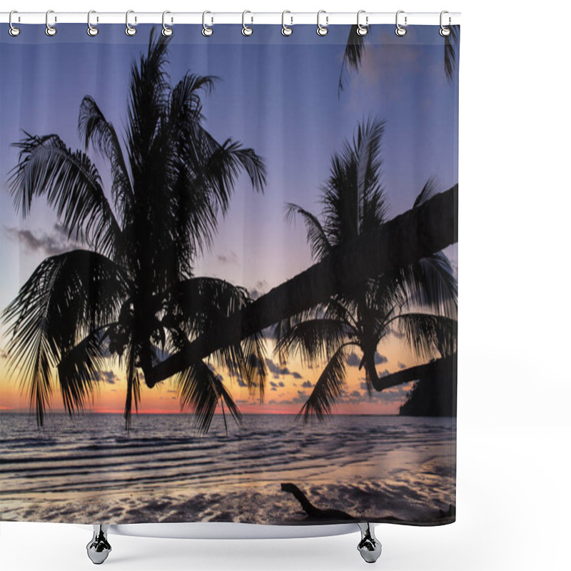 Personality  Palm Trees During Sunset  Shower Curtains