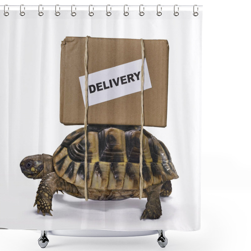 Personality  Slow Delivery On Turtle. Shower Curtains