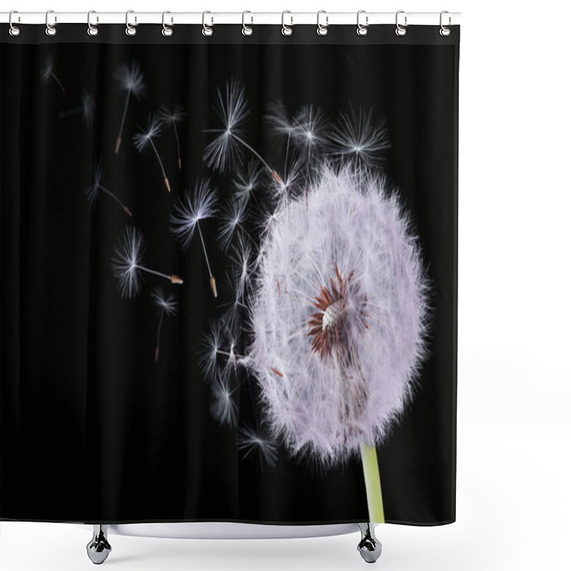 Personality  Dandelion Flying On Green Background Shower Curtains