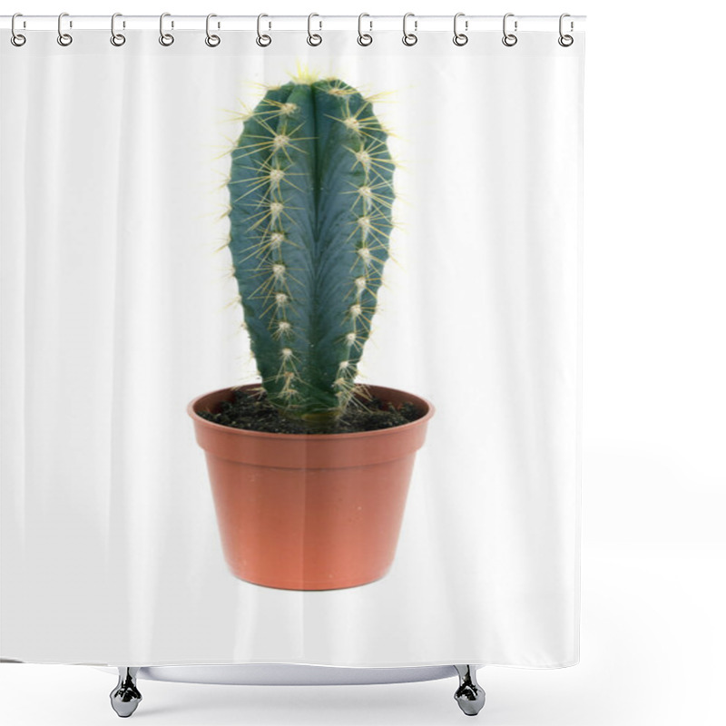 Personality  Green Prickly Cactus In Pot Shower Curtains