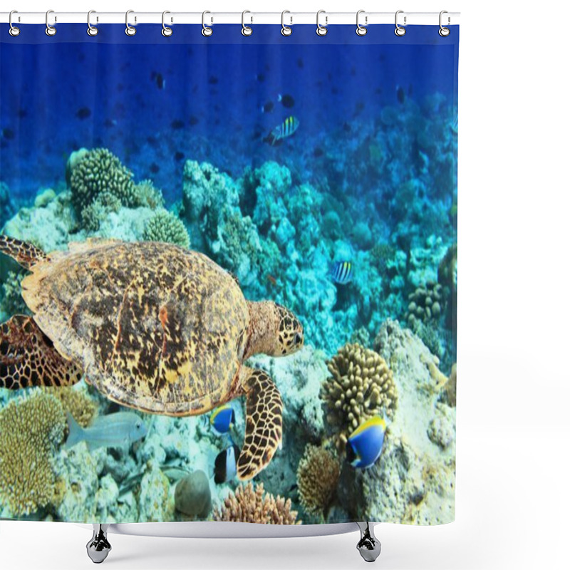 Personality  Sea Turtle Shower Curtains