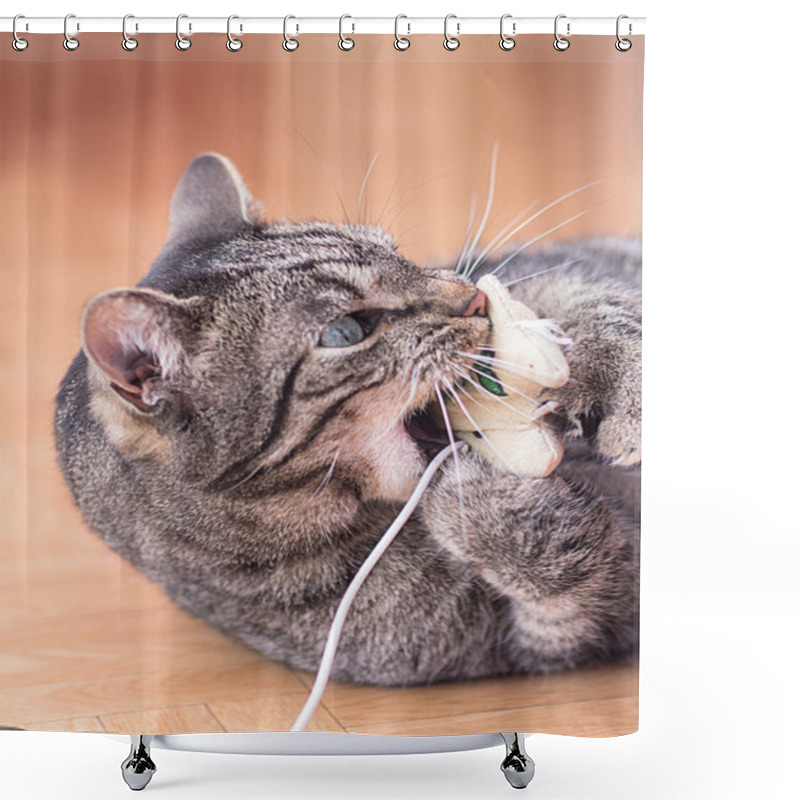 Personality  A Grey Striped Cat Plays With Cat's Toys Shower Curtains