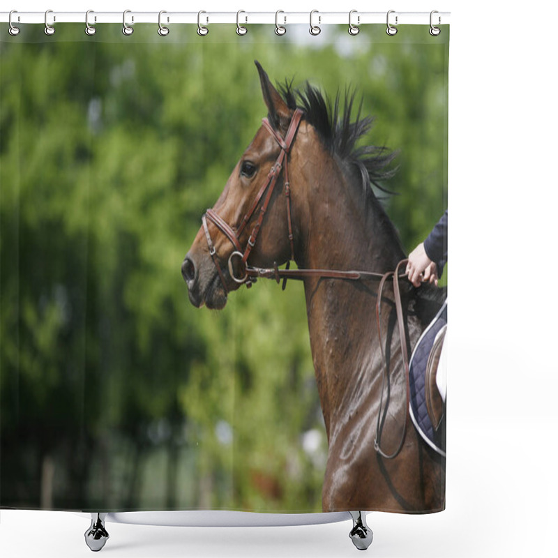 Personality  Head Of A Beautiful Young Sporting Horse During Competition Outdoors. Sport Horse Closeup On Dressage Competition. Equestrian Sport Background Shower Curtains