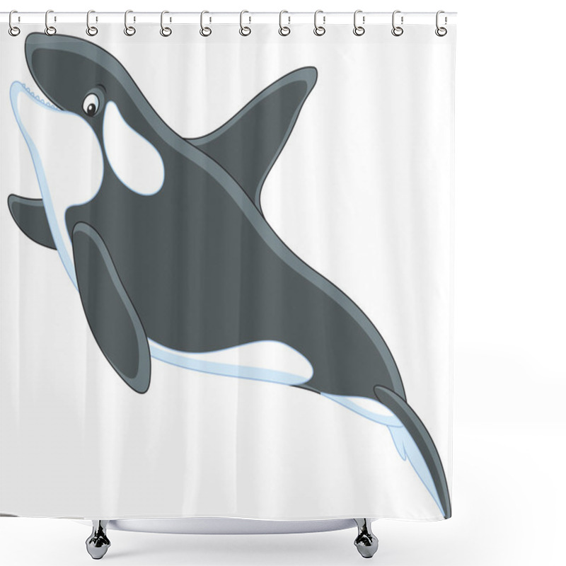 Personality  Killer Whale Swimming Shower Curtains