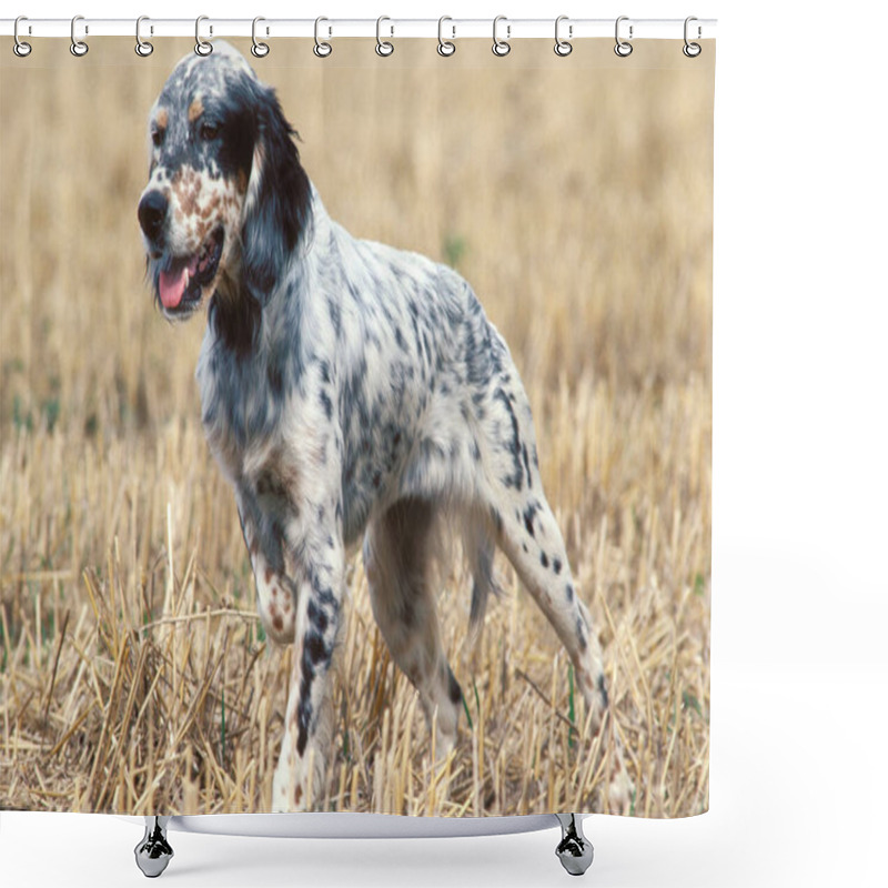 Personality  English Setter Dog Standing In Field   Shower Curtains