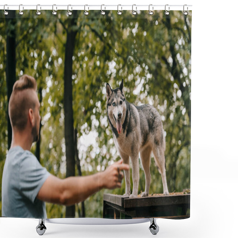 Personality  Siberian Husky On Dog Walk Obstacle In Agility Trial, Selective Focus Of Pointing Man  Shower Curtains