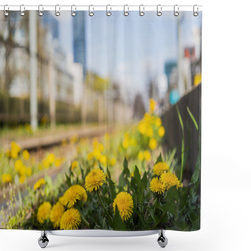 Personality  Close Up View Of Dandelions On Urban Street Shower Curtains