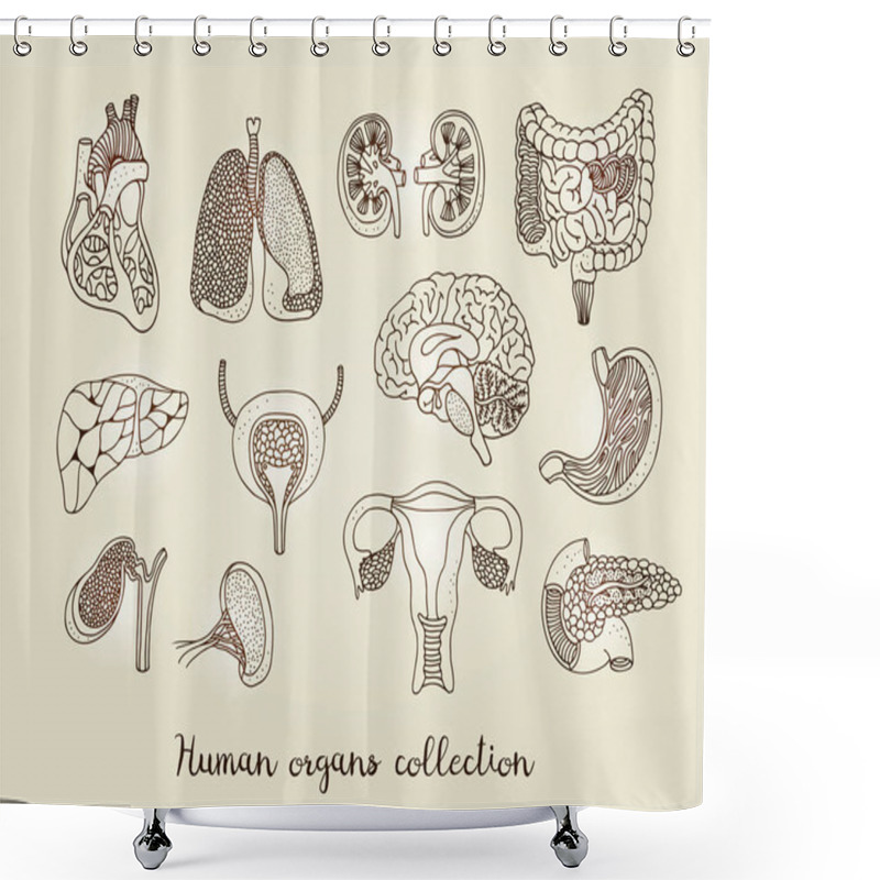 Personality  Hand Drawn Set Of Human Internal Organs, Vector Anatomy Collection Isolated On Beige Background Shower Curtains