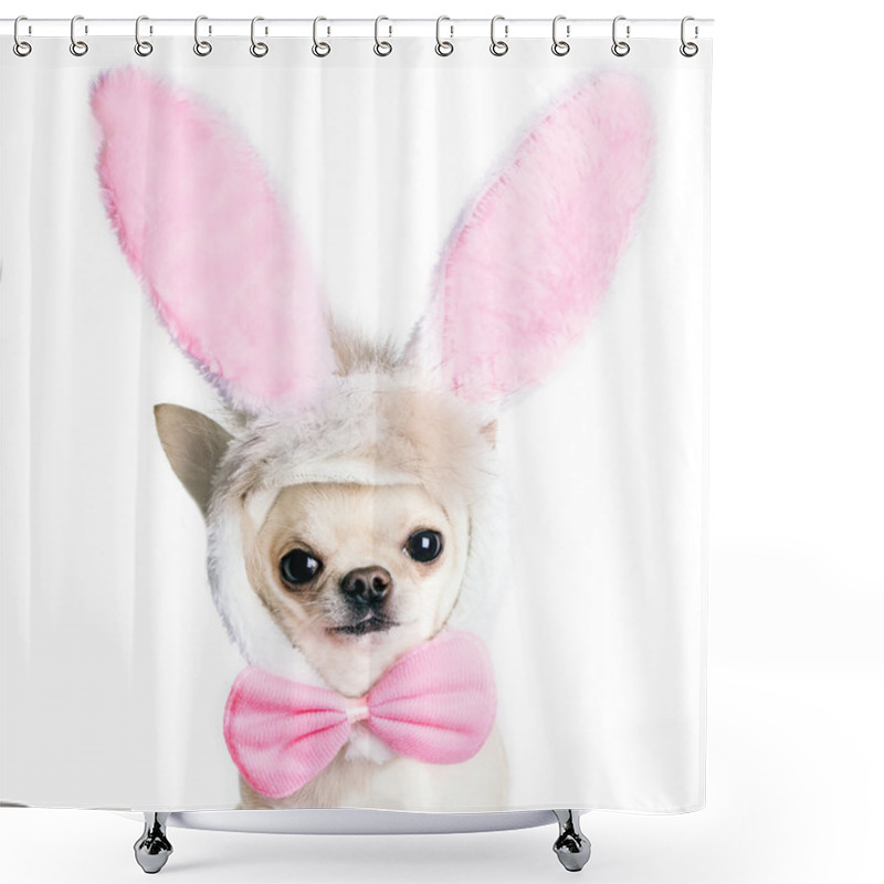 Personality  Chihuahua Dog In A Funny Costume Of An Easter Hare Shower Curtains