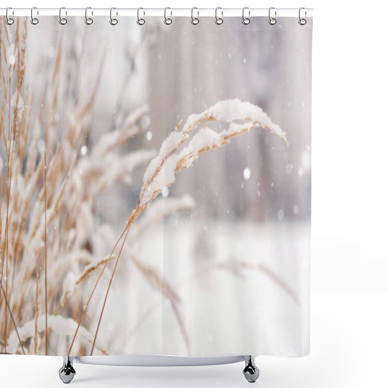 Personality  Plant Branches Under A Layer Of Snow, Winter Shower Curtains