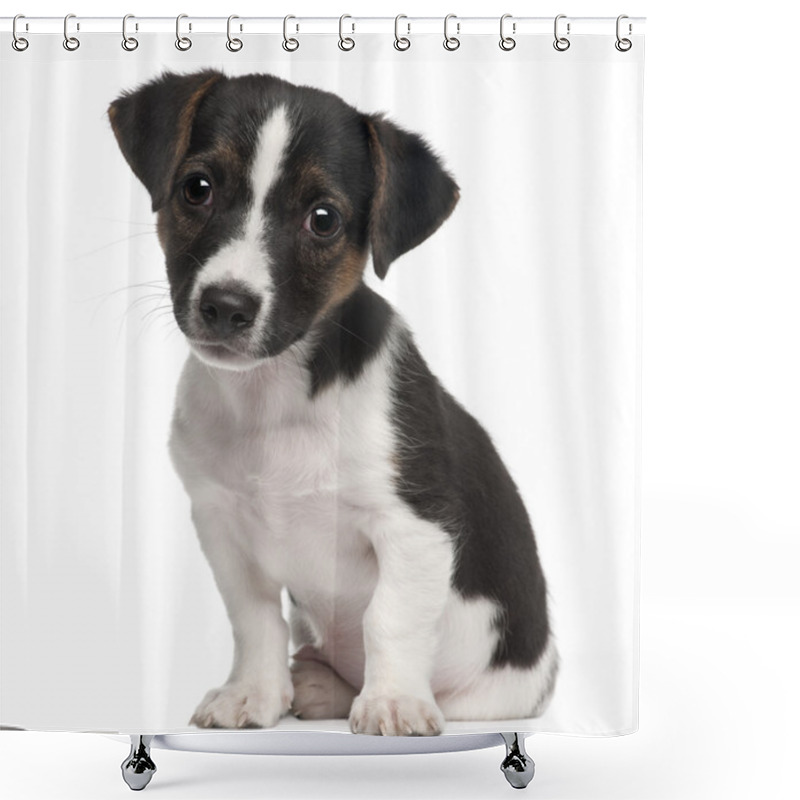 Personality  Jack Russell Terrier Puppy, 2 Months Old, Sitting In Front Of White Background Shower Curtains