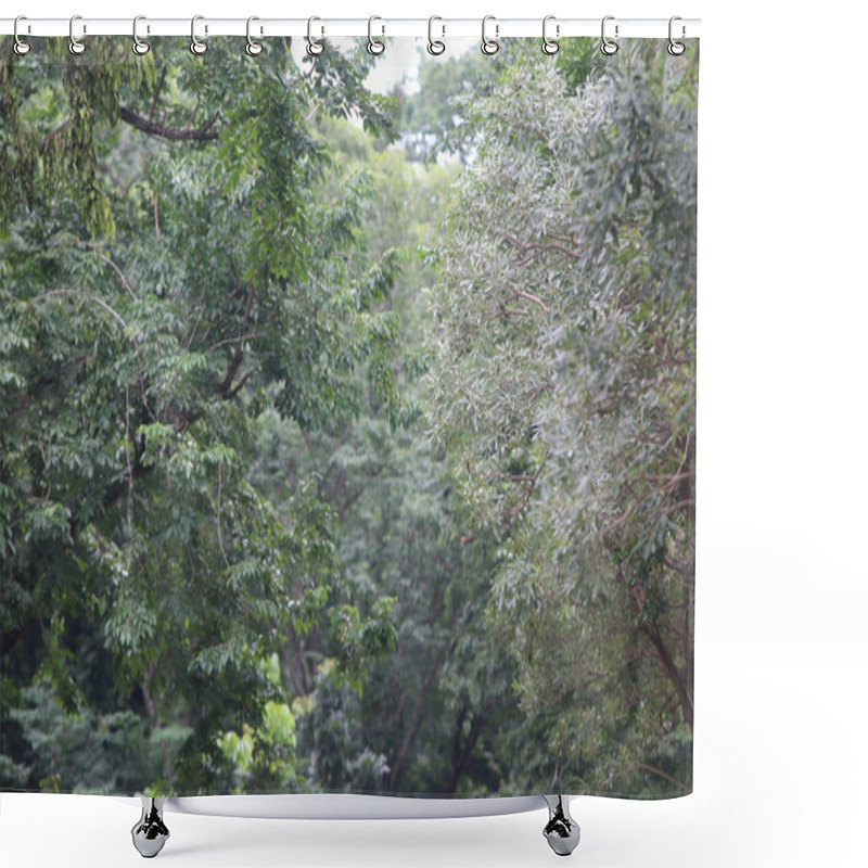 Personality  Leaves Tropical Forest Trees Texture Background Wallpaper Shower Curtains