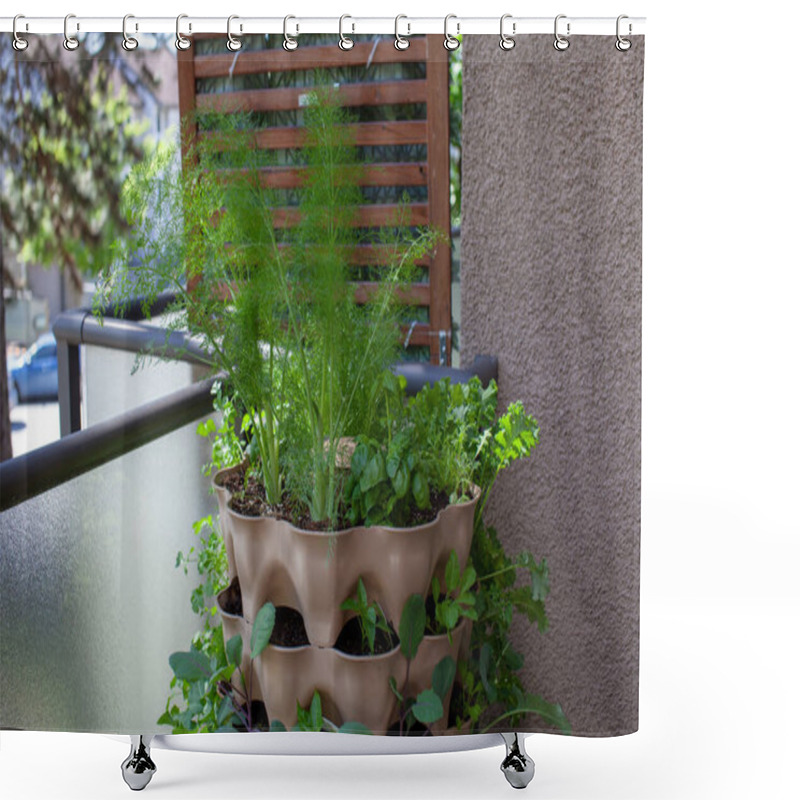 Personality  A Tall Vertical Garden Sits On An Apartment Balcony (patio) With Fresh Salad Greens, Herbs And Vegetables. Ideal Small Space And Urban Gardening Solution Shower Curtains