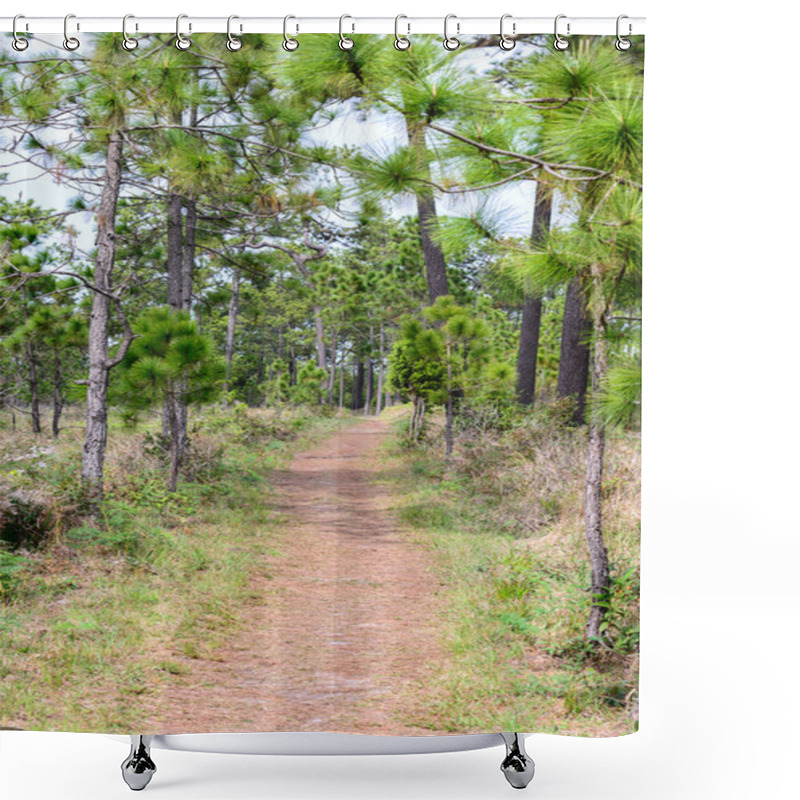 Personality  Nature Trail For Cycling And Walking In Phu Kradueng National Park, Loei Thailand. Shower Curtains