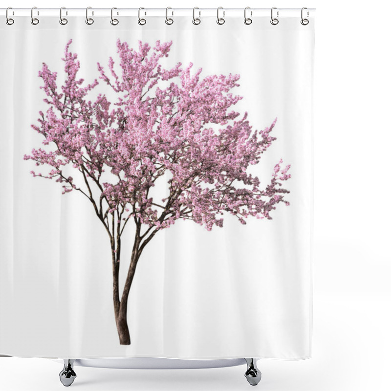 Personality  Beautiful Blossoming Sakura Tree On White Background Shower Curtains