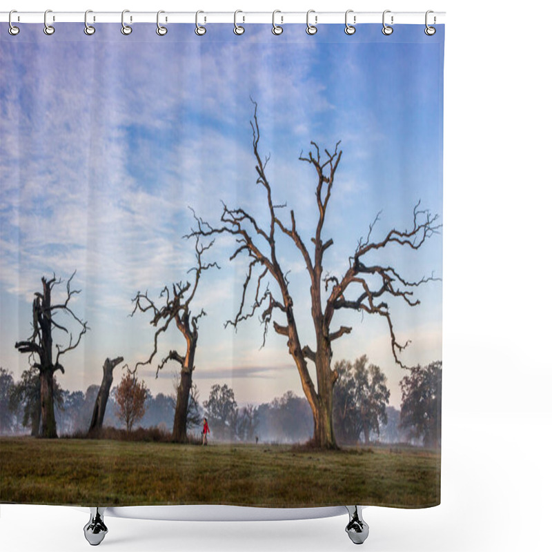 Personality  Lonely Oak On The Field At Sunset Shower Curtains