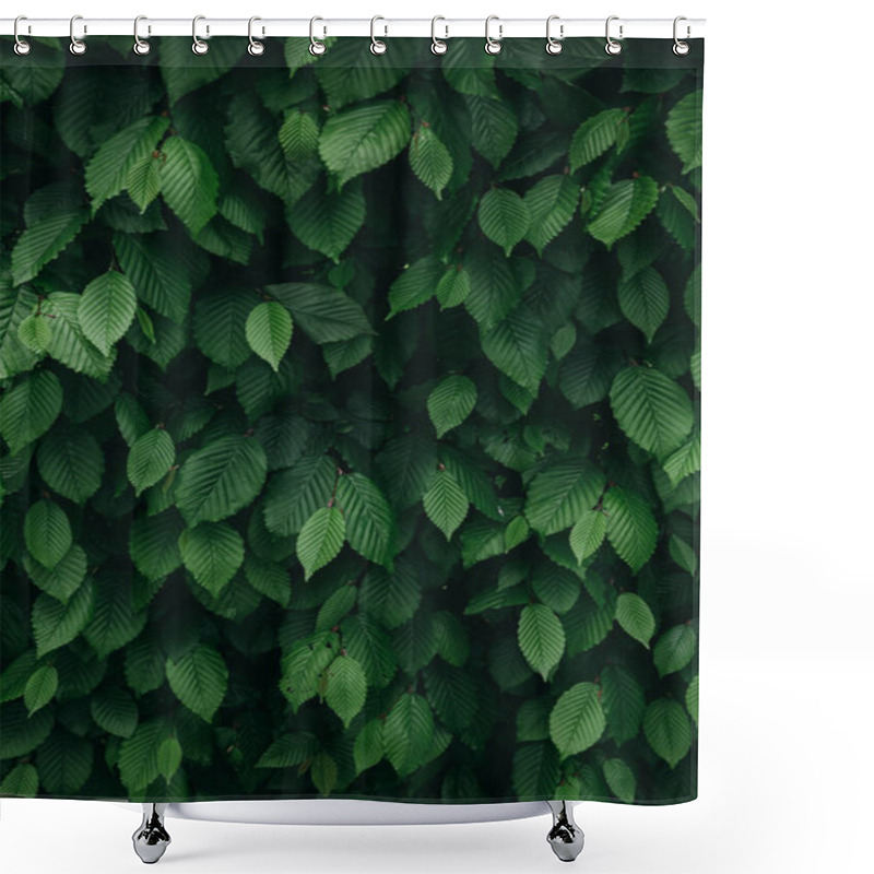 Personality  Closeup View Of Dark Green Natural Bush Leaves Pattern. Vertical Background. Shower Curtains