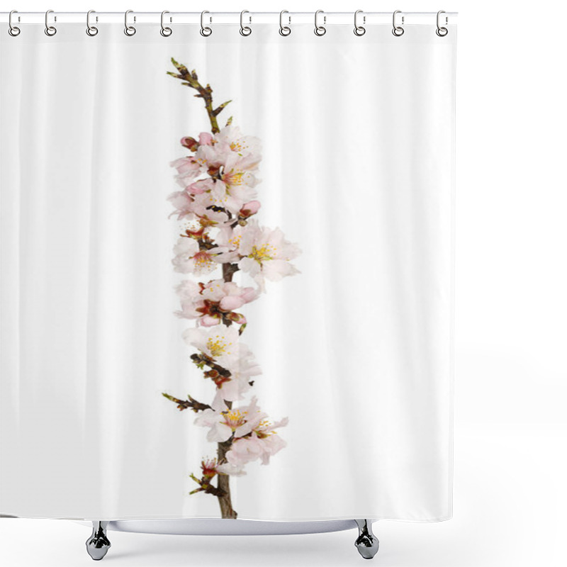 Personality  Almond Tree Twig Shower Curtains