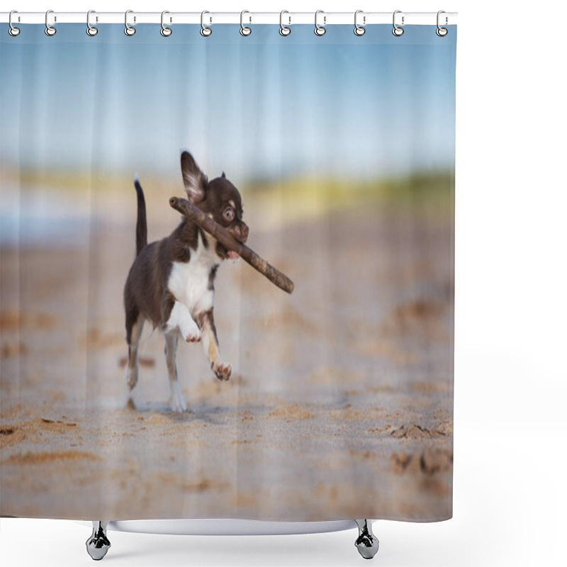 Personality  Brown Chihuahua Puppy Outdoors In Summer Shower Curtains