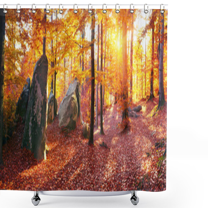 Personality  Forest In The Reserve Cave Monastery Bubnyshche  Shower Curtains