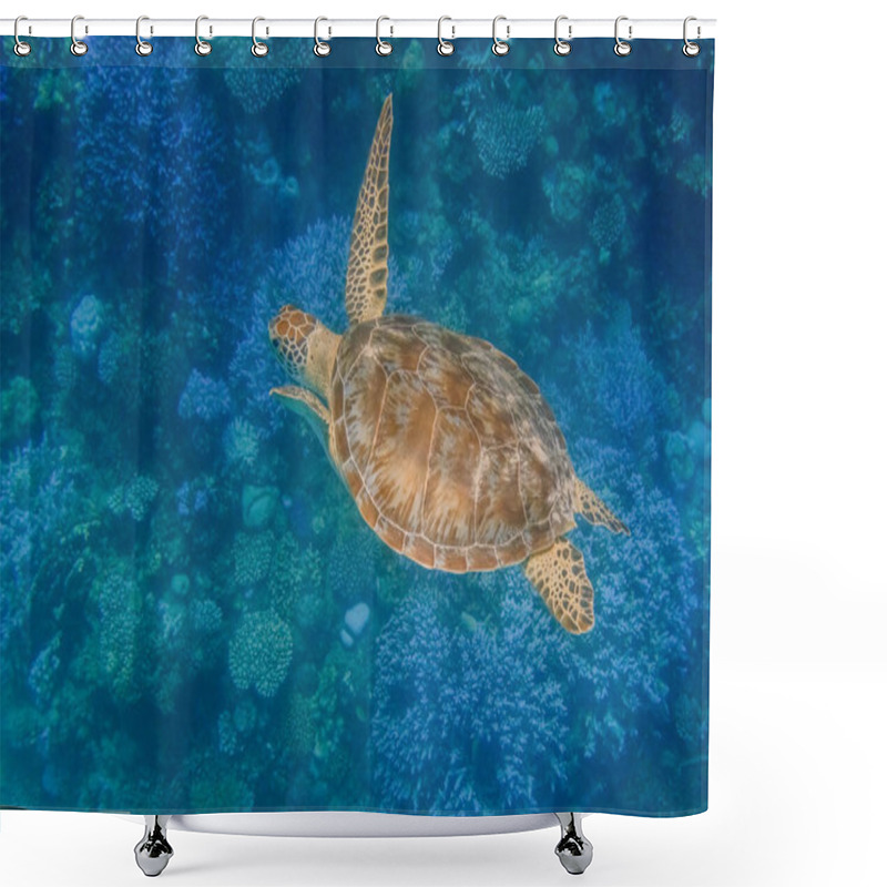 Personality  Green Sea Turtle Swimming Very Slow Through Clear Blue Water Over Corals In Egypt Shower Curtains