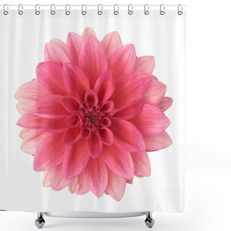 Personality  Pink Dahlia Flower Isolated On White Background, Close-up Cut Out Of Beautiful Single Daisy-like Flower Head, Taken Straight From Above Shower Curtains