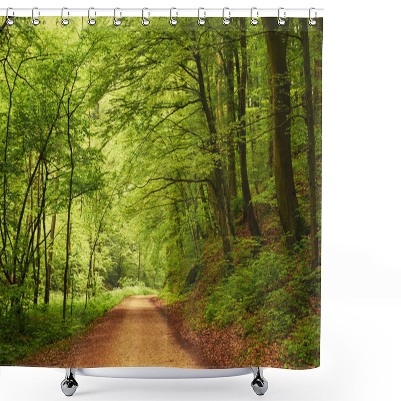 Personality  Way Into Forest Shower Curtains