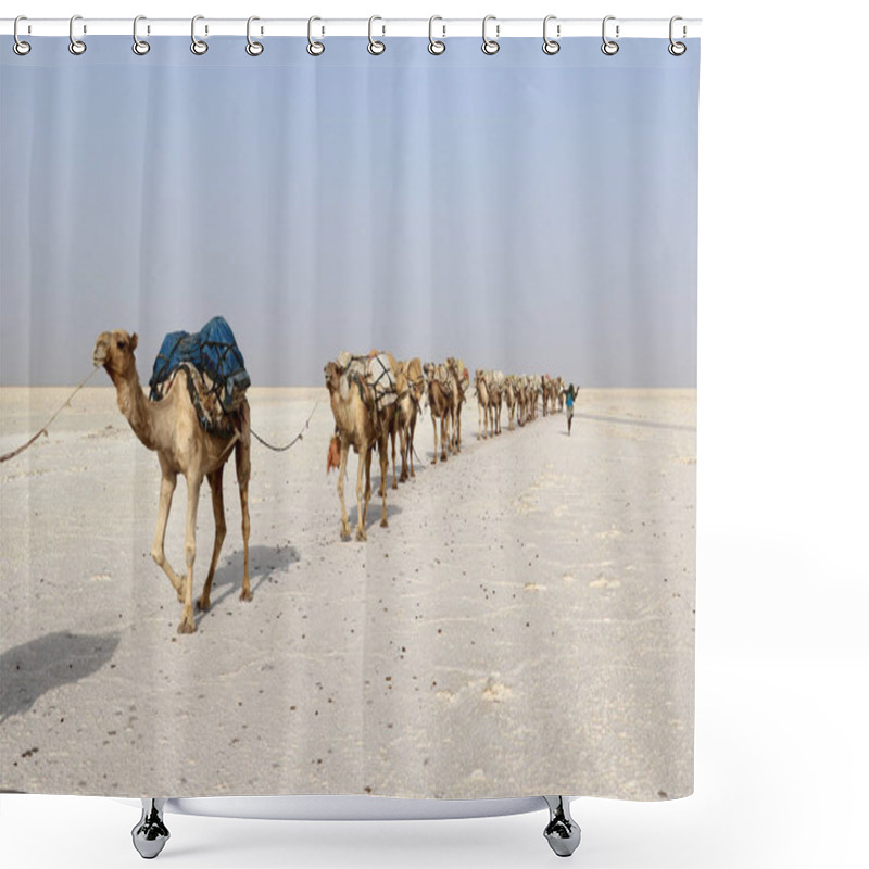 Personality  Camels Caravan Carrying Salt In Africa's Danakil Desert, Ethiopia Shower Curtains