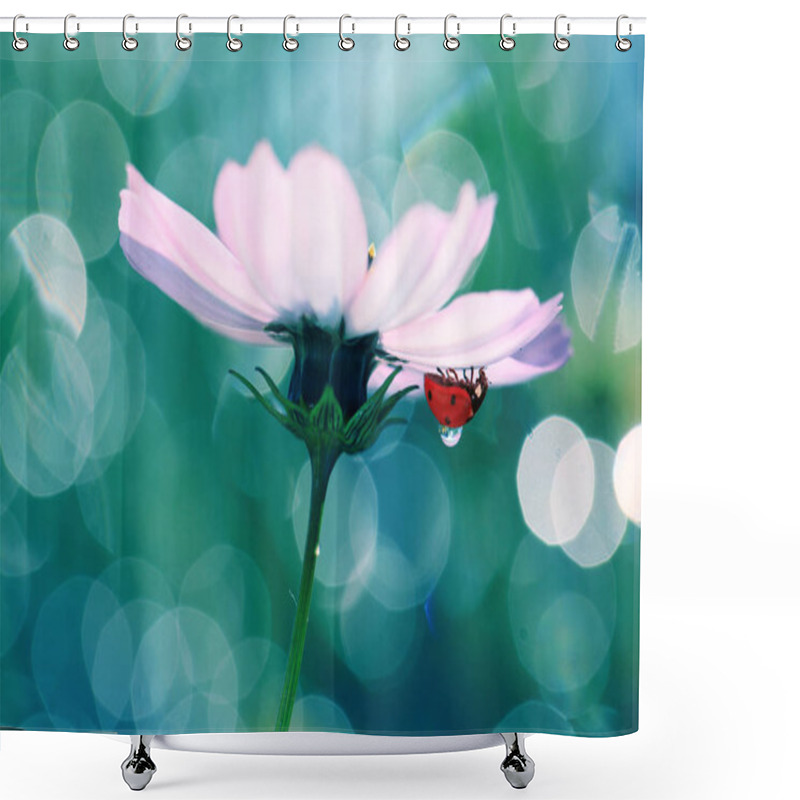 Personality  A Small Red Ladybug Rests On A Pea Fragrant. Shower Curtains